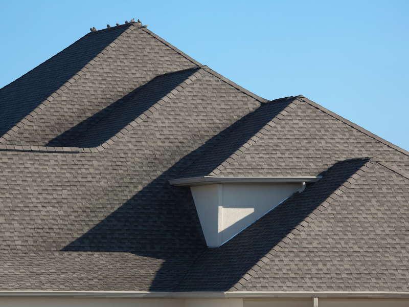 Shingle Roofs